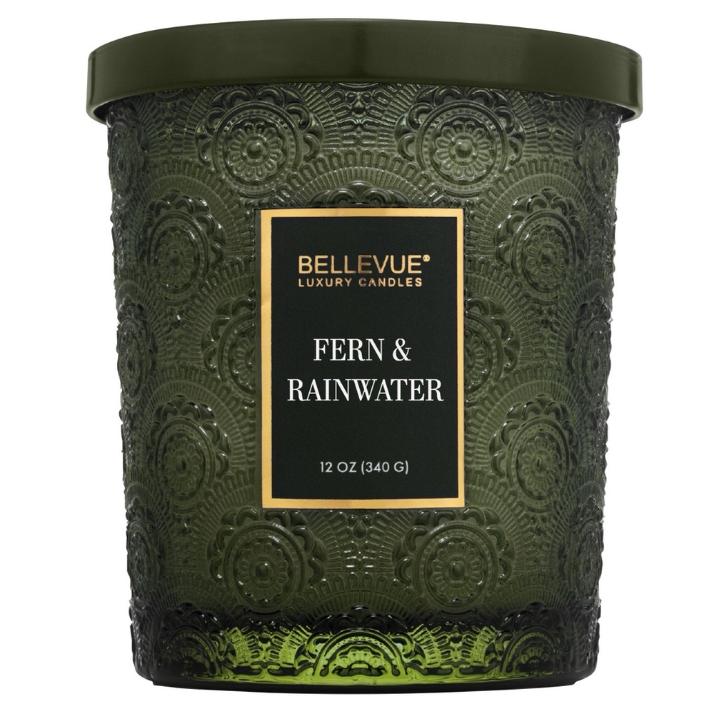 Bellevue Double Wick 12 oz Luxury Candle ~ FERN AND RAINWATER ~ New!
